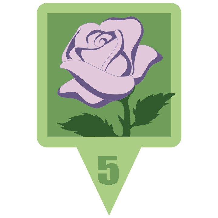 violetroseblossom.png