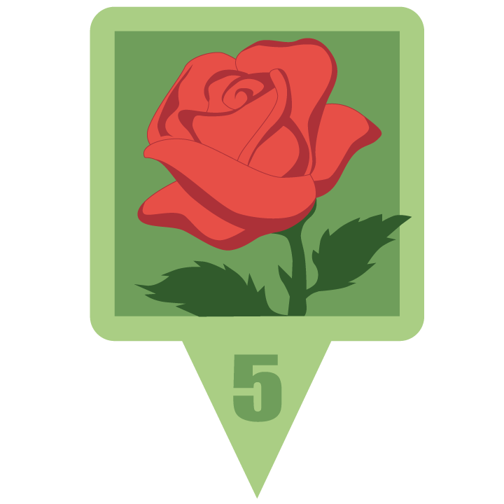 redroseblossom.png