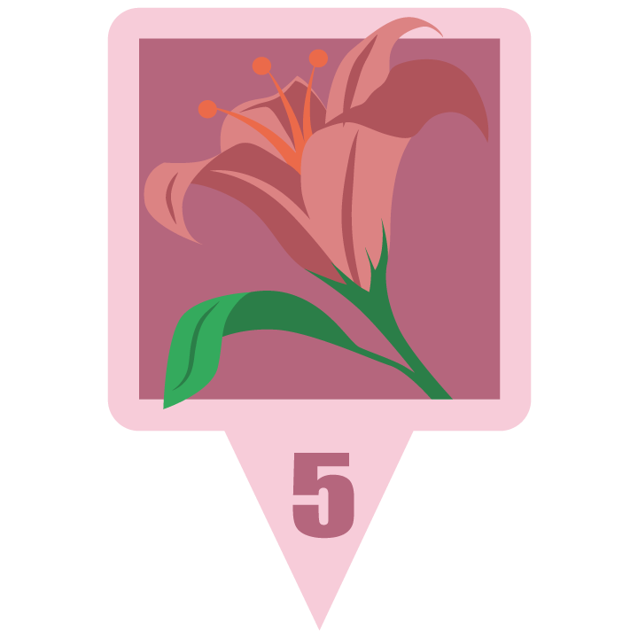 pinklilyblossom.png