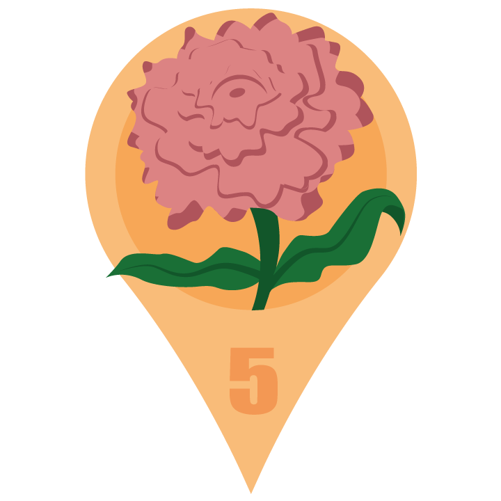 pinkcarnationblossom.png