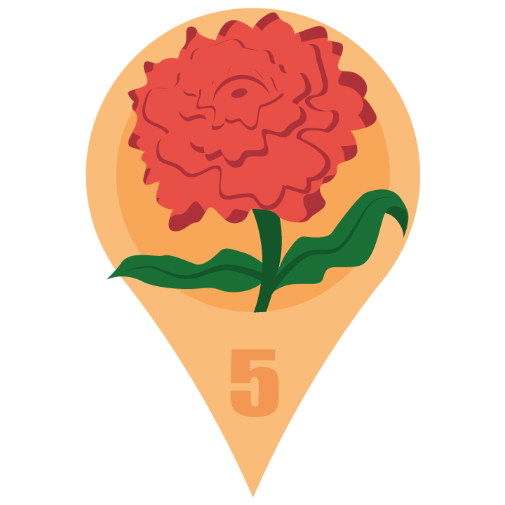 redcarnationblossom.png
