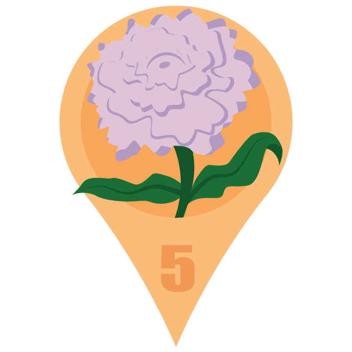 violetcarnationblossom.png