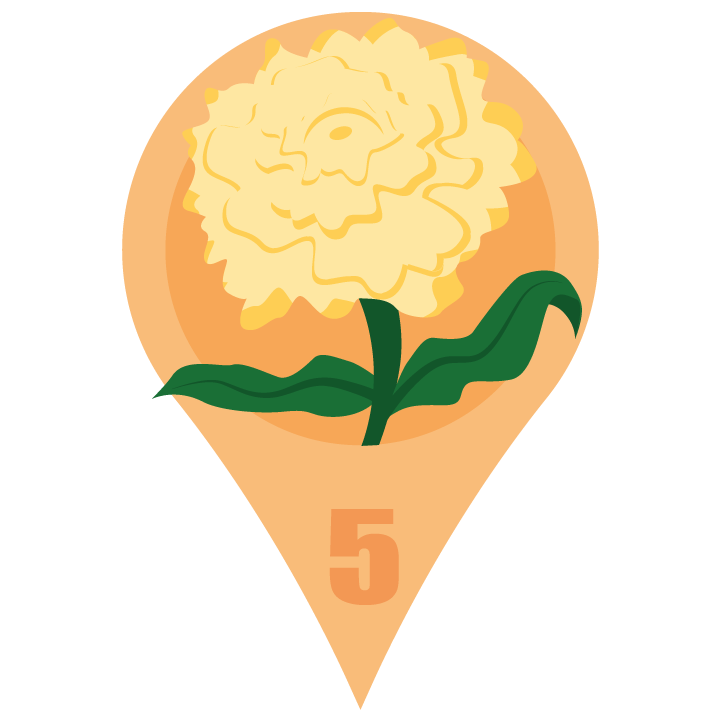 yellowcarnationblossom.png