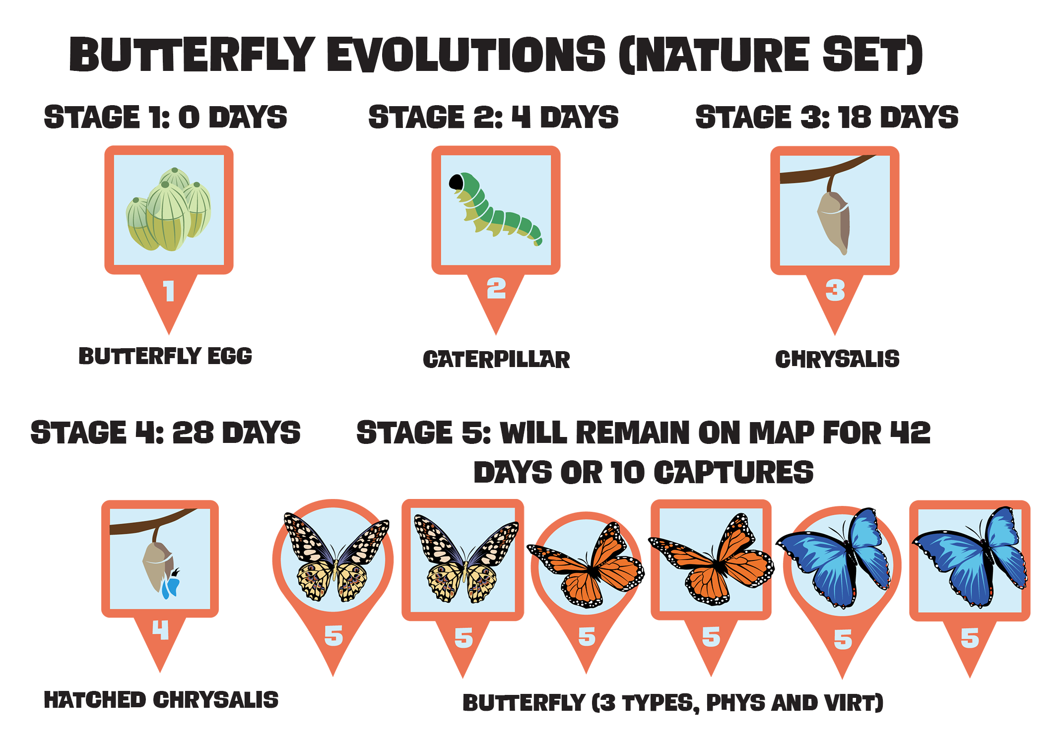 Butterfly_Evo.png