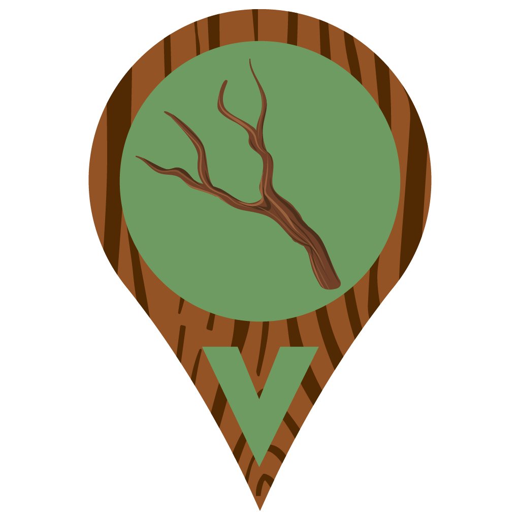 deadbranch_tree_scatter_1024.png